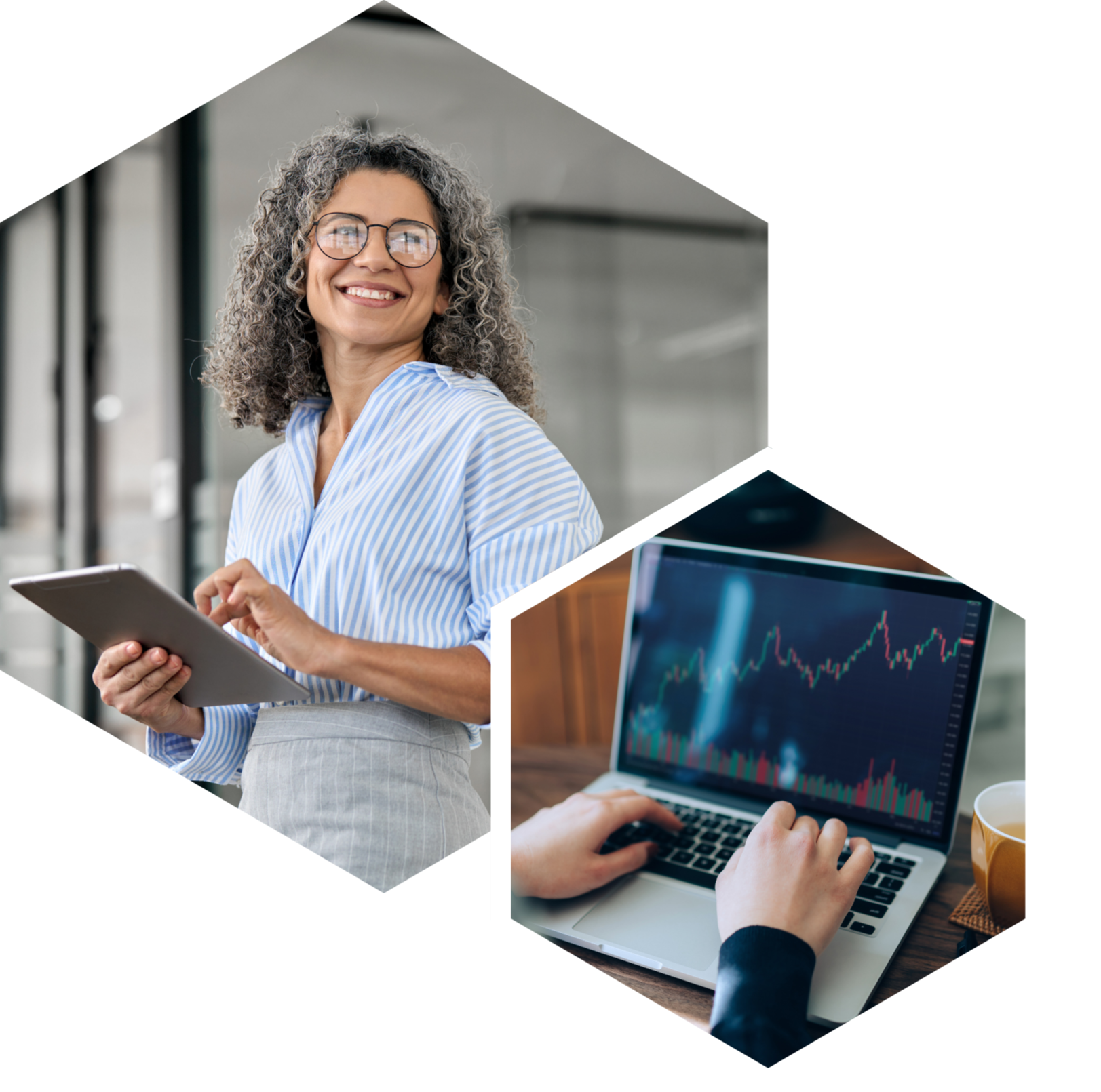 Accredited Investor