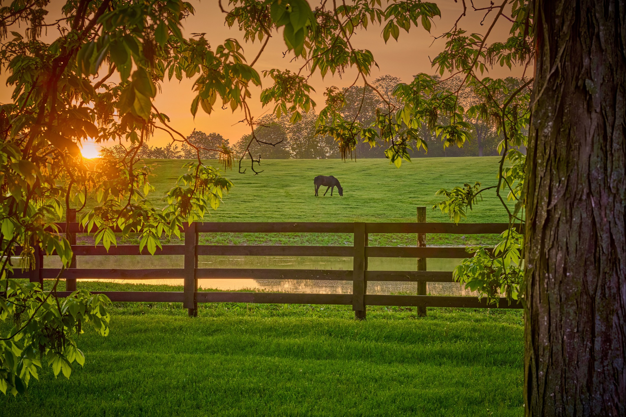 Comprehensive Financial Solutions