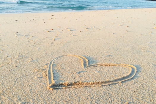 Why Families Choose Harbor Blue Financial