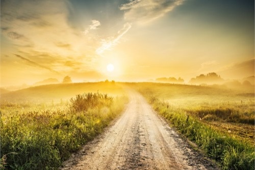 Financial and Tax Planning