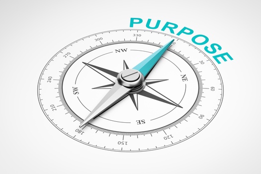 
Our Primary Purpose