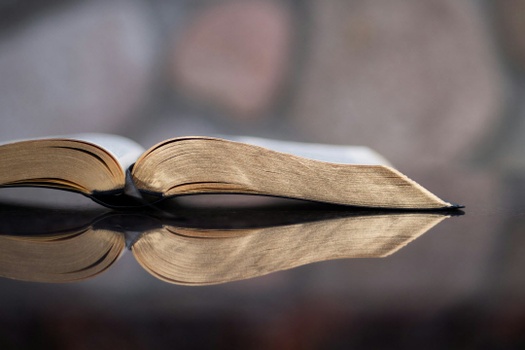 
Our Primary Purpose