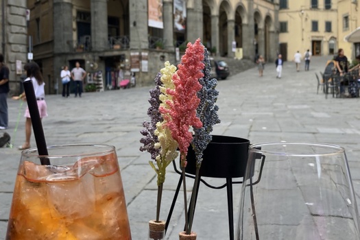 Quality Plan Designs