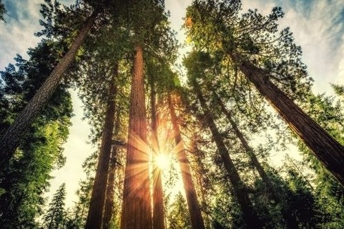 Investment Management