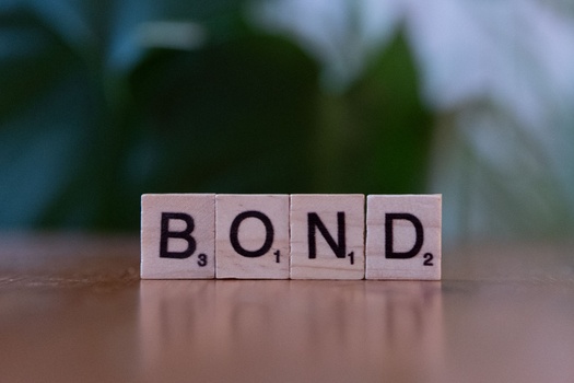 The Role of Bonds in Portfolio Construction