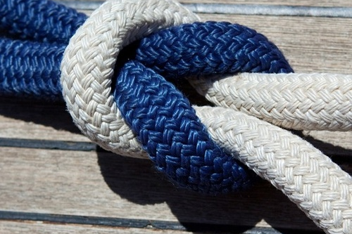 The Palomar Knot