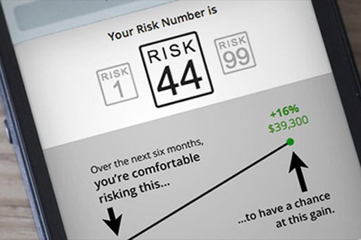 Your Risk Determines the Right Mix