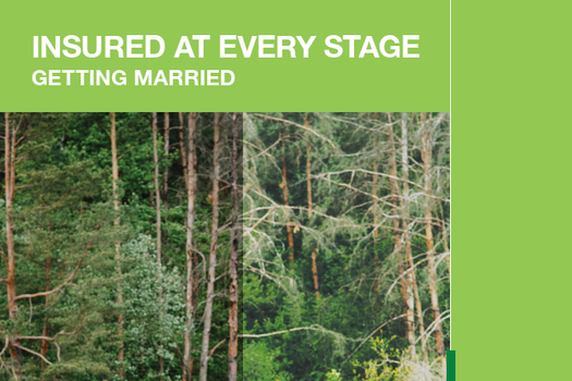 Insured at Every Stage: Getting Married