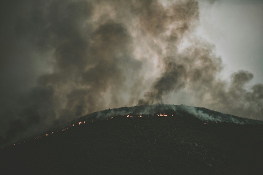 Tips for Defensible Space
