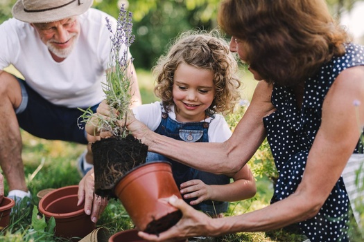 Gain a Tailored Plan to Guide Your Decisions