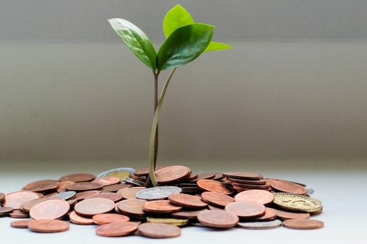 Principles of Retirement Planning