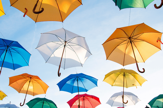Insurance Review and Risk Management