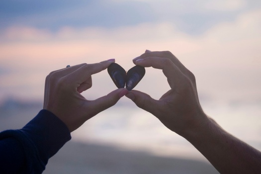 Links We Love