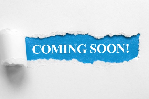 Substantially Equal Periodic Payments