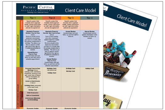 Client Care Model