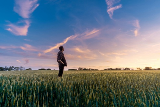 Understanding Today's Financial Environment