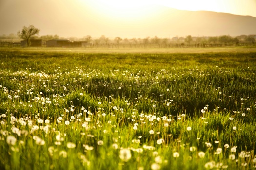 Iowa-Specific Retirement Considerations Worth Knowing