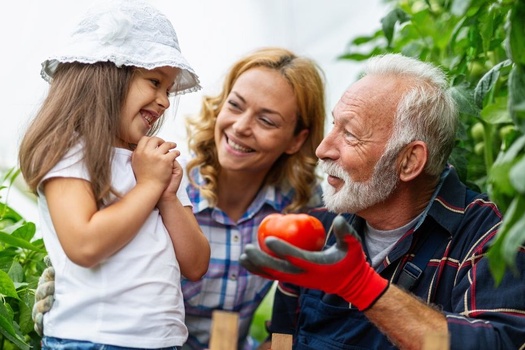 Wealth + Wellness = WHealth