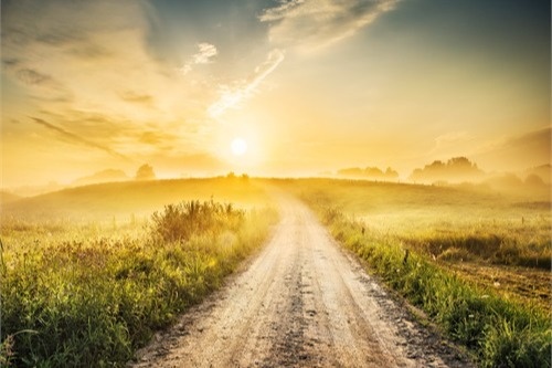 Planning Through The Unpredictable