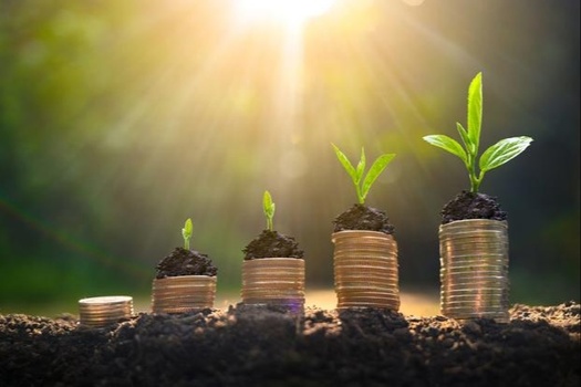 We Work for You, Growing Your Future