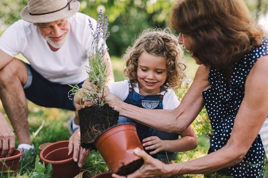 Comprehensive Planning for Every Stage of Life—No Gaps, No Surprises
