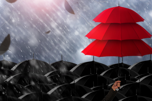 Insurance and Risk Management