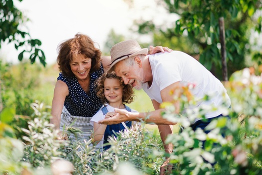 Experience the Solid Support of a Hands-On Team