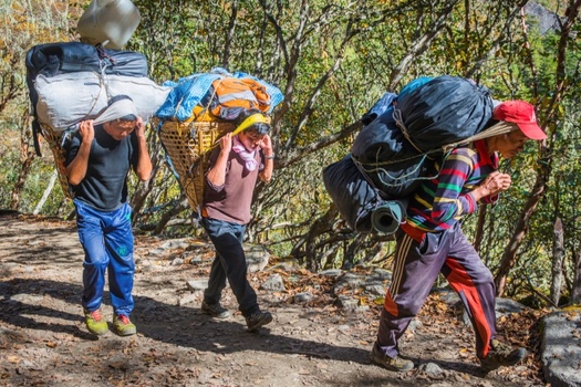 What is a Sherpa?