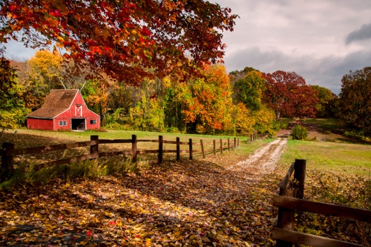 Retirement and Estate Planning