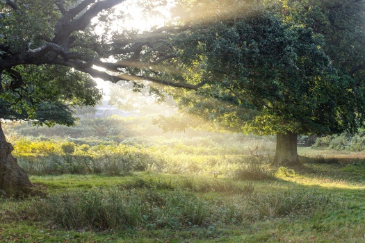 Estate planning has technical pieces and human pieces. We do both.