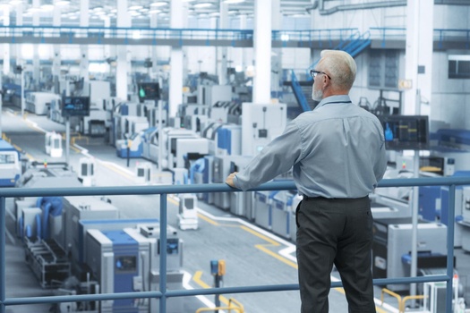 Business Valuation Estimates