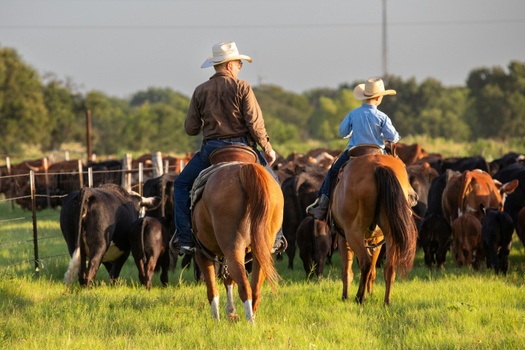 Keeping your financial plan in line with your lifestyle.