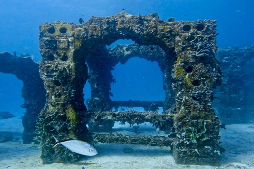 Neptune Memorial Reef