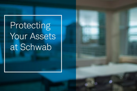 Custodian for Safekeeping Your Assets: Charles Schwab & Co.