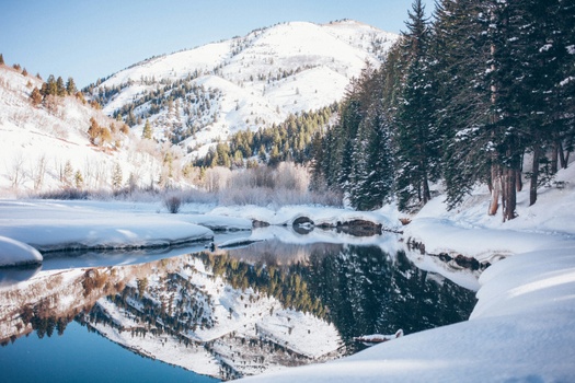 Financial Perspectives Winter 2025