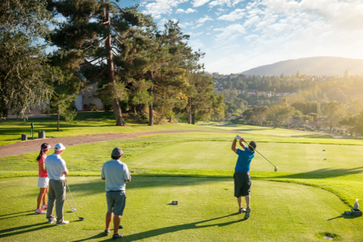 Company Retirement Plans