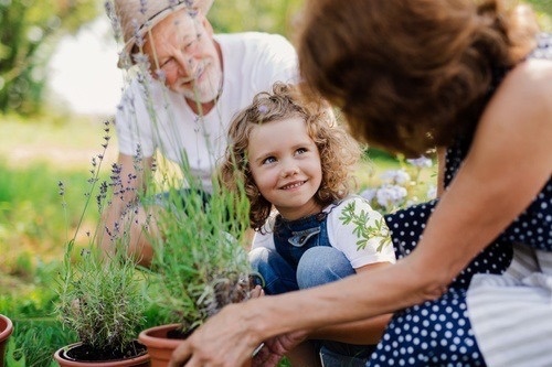 Innovation for Your Unique Retirement Journey