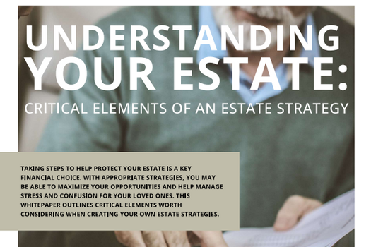 Understanding Your Estate: Critical Elements of an Estate Strategy 