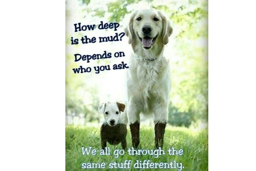 
Our Primary Purpose