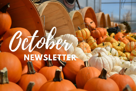October 2024