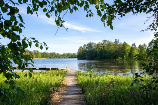 Navigating Your Unique Financial Path