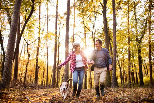Supporting Clients on their Financial Journey