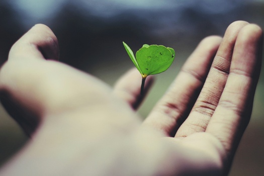 SUSTAINING LEGACY AND GROWTH