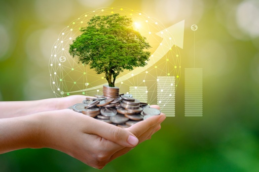 Investment Strategy