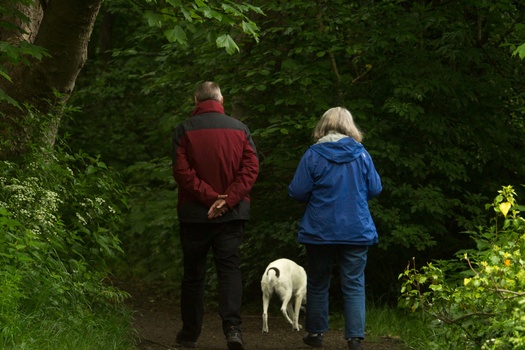 Do I Qualify For Social Security Disability Benefits?