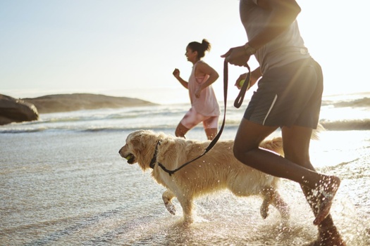 Integrating Every Facet Of Your Financial Life