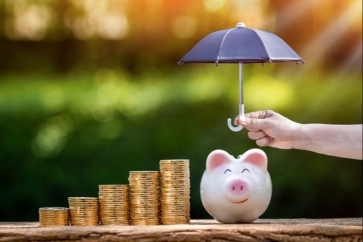Asset Protection: From Lawsuits, Creditors, and Judgements