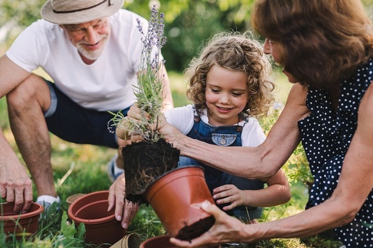 Wealth Strategies Built Around Your Life 