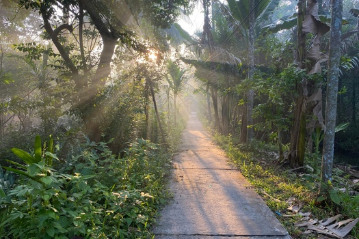 When To Begin Your Journey With Us