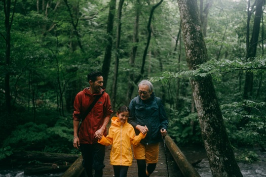 Risk Management & Estate Planning